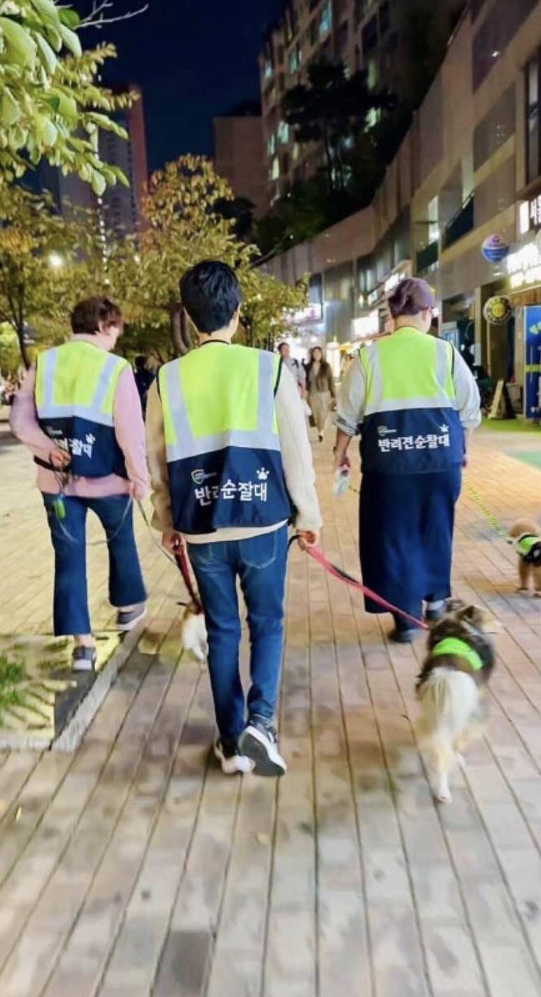 [잡담] 니네 산책할때 이거도 입으라하면 입을수있어?? | 인스티즈