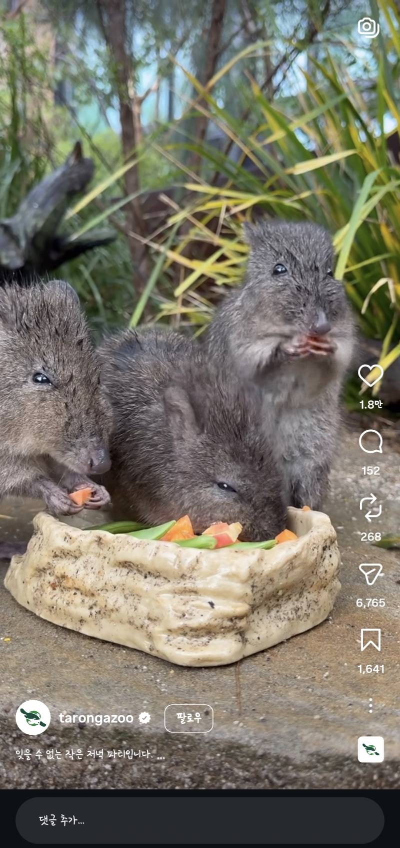 [잡담] 얘네 뭔가 🐀 를 AI 꾸미기 돌린 것 처럼 생김 뭔가 | 인스티즈