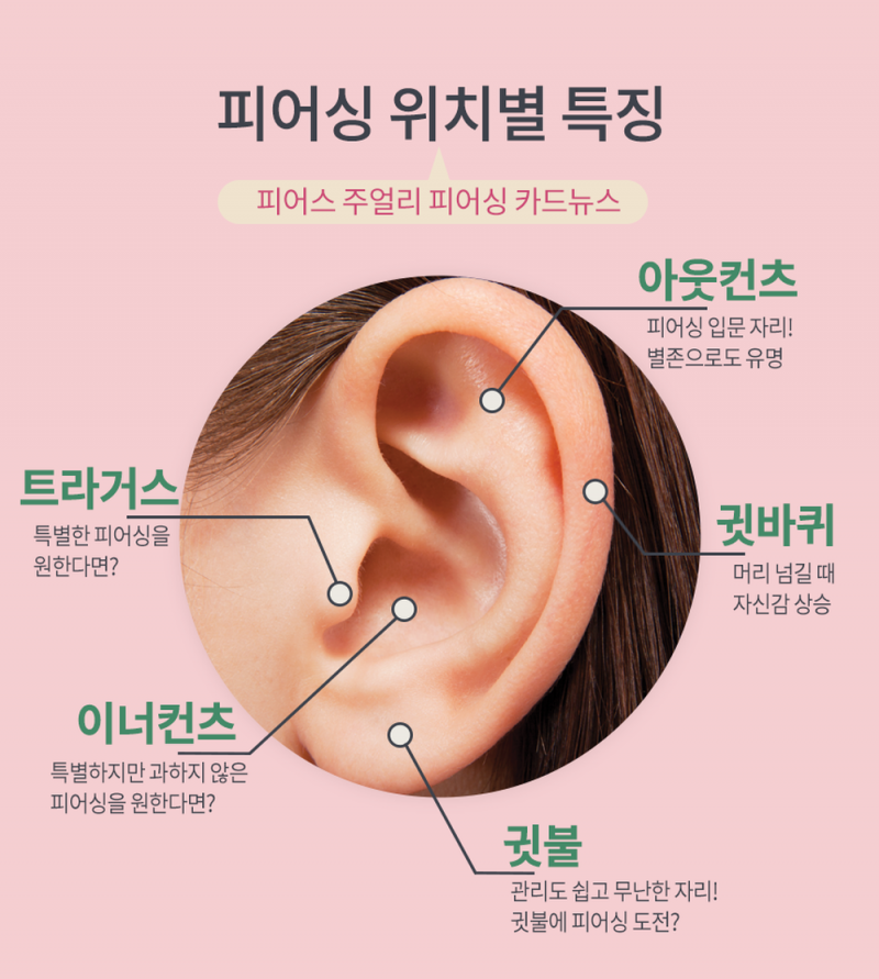 [잡담] 나 피어싱 아웃이랑 이너 있는데 귓바퀴 ㄱㅊ을까? | 인스티즈