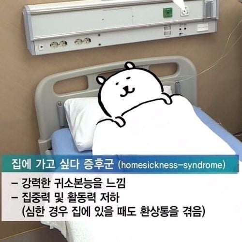 [잡담] 핀터레스트에서 이런거보면 바로 저장해버림 | 인스티즈