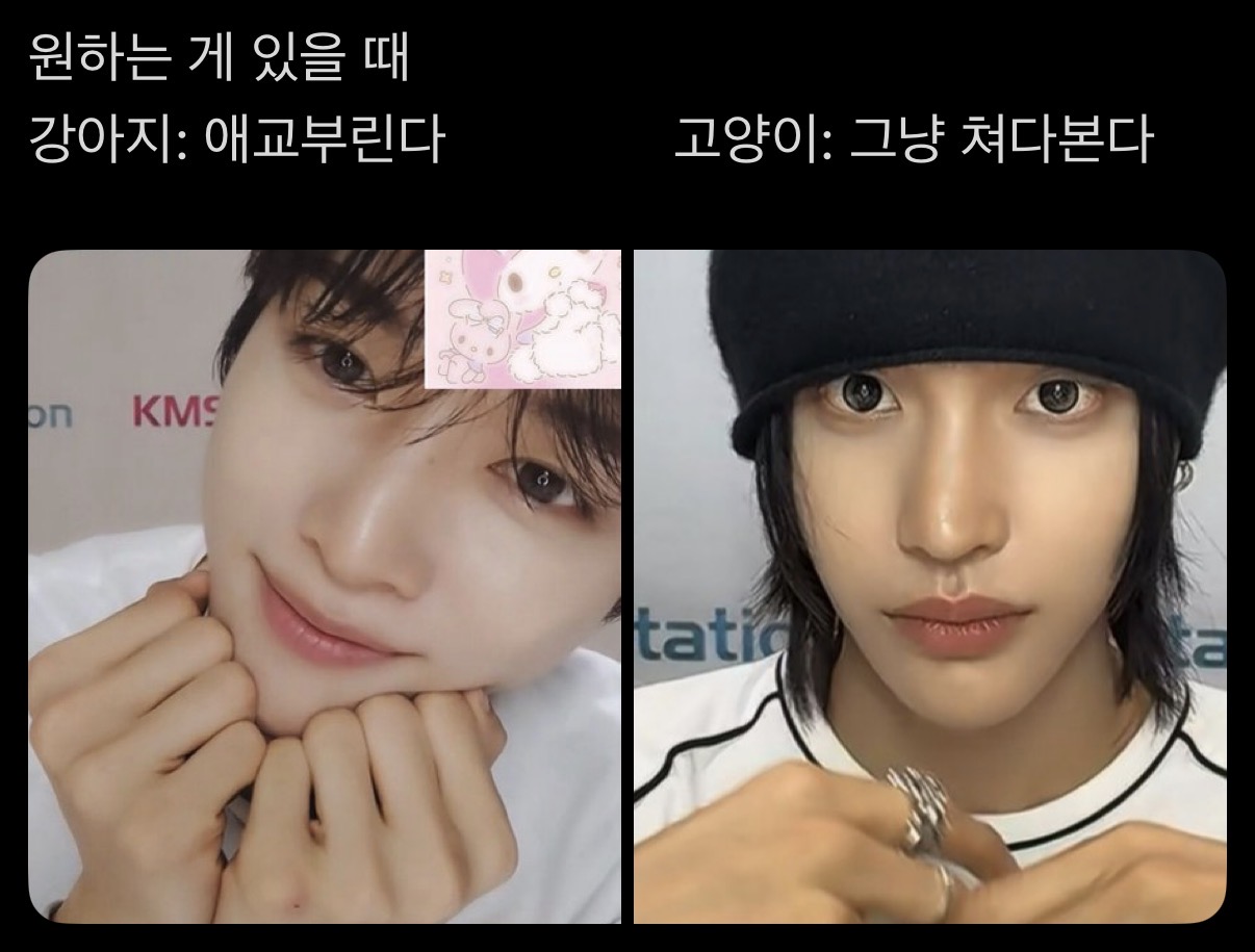 [잡담] 원빈 성찬 개귀엽다 아 | 인스티즈