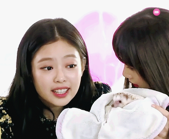 [잡담] 연예인 웃짤 모음 | 인스티즈