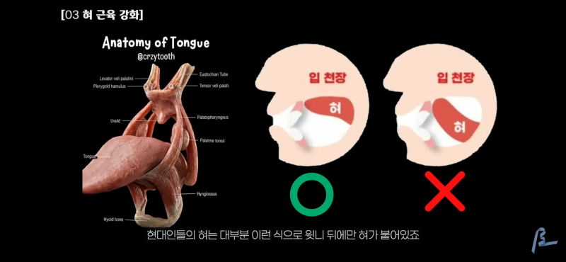 [잡담] 익들 혀 위치 둘중에 뭐야? | 인스티즈