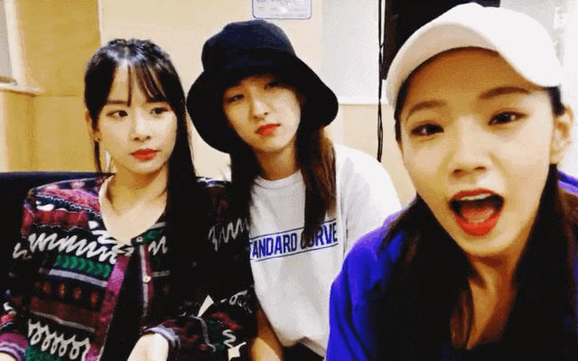 [잡담] 연예인 웃짤 모음 | 인스티즈