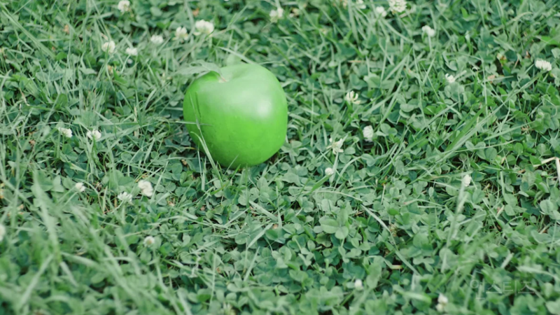 장마시즌에 한줄기 빛과 같은 남돌..gif | 인스티즈
