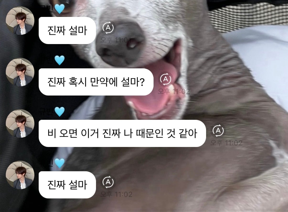 [잡담] 앤더블 본인들 의심하는거 너무 웃김(비요정) | 인스티즈