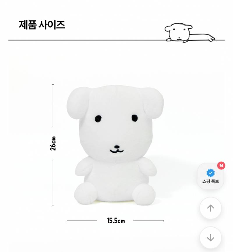 [잡담] 셀프 생일선물 정함 | 인스티즈