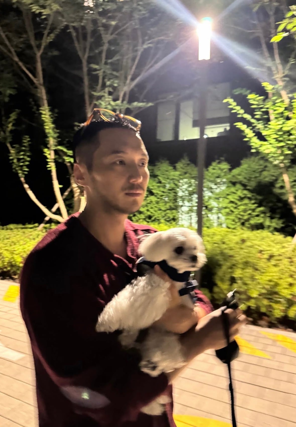 [잡담] 변요한이 안고 있는 강아지 티파니네 강쥐네 | 인스티즈