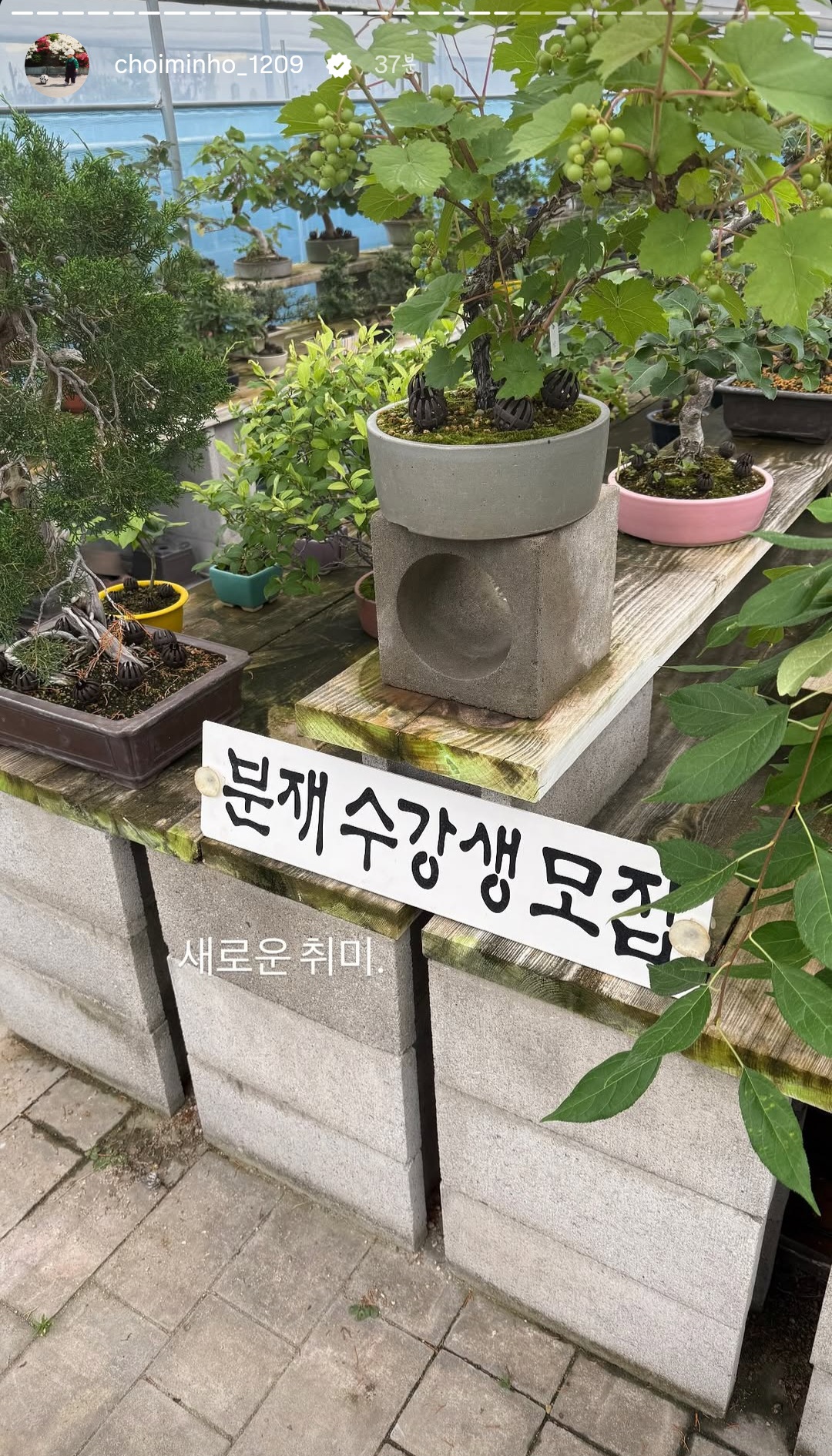 [잡담] 샤민호 새로운 취미 생겼는데 | 인스티즈