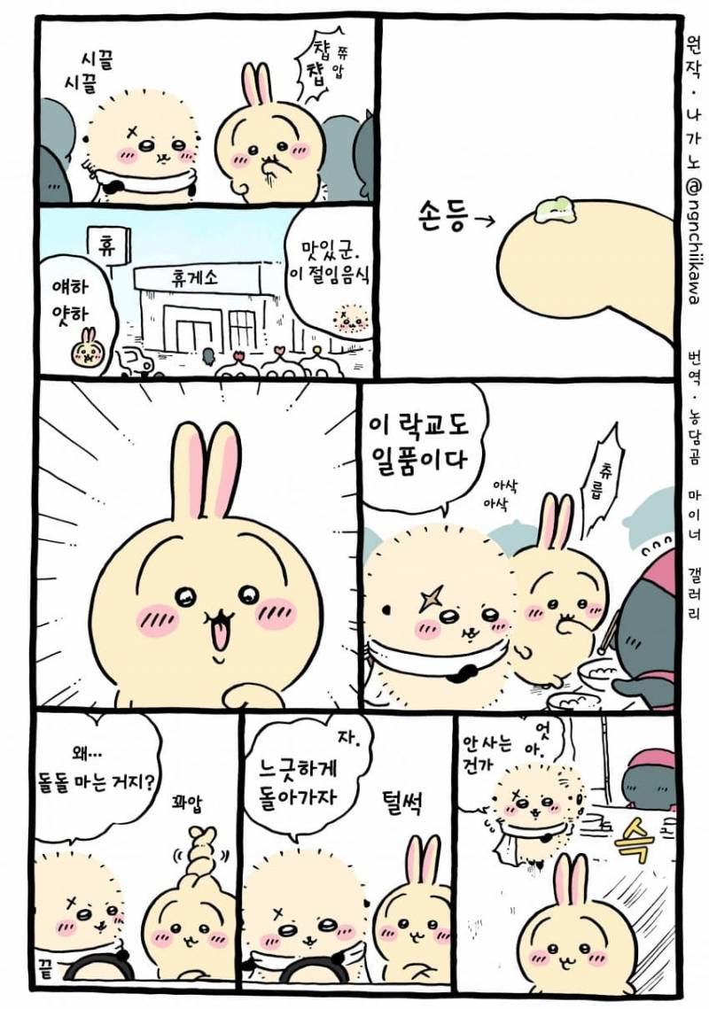 [잡담] 휴게소에 간 랏코+우사기 🤔 | 인스티즈