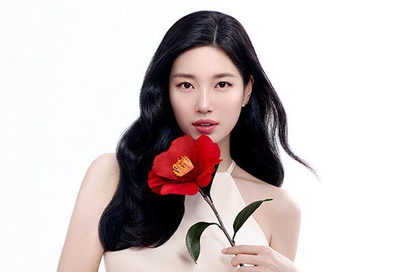 [잡담] 수지) 260707 수지 츠바키 새 사진 | 인스티즈