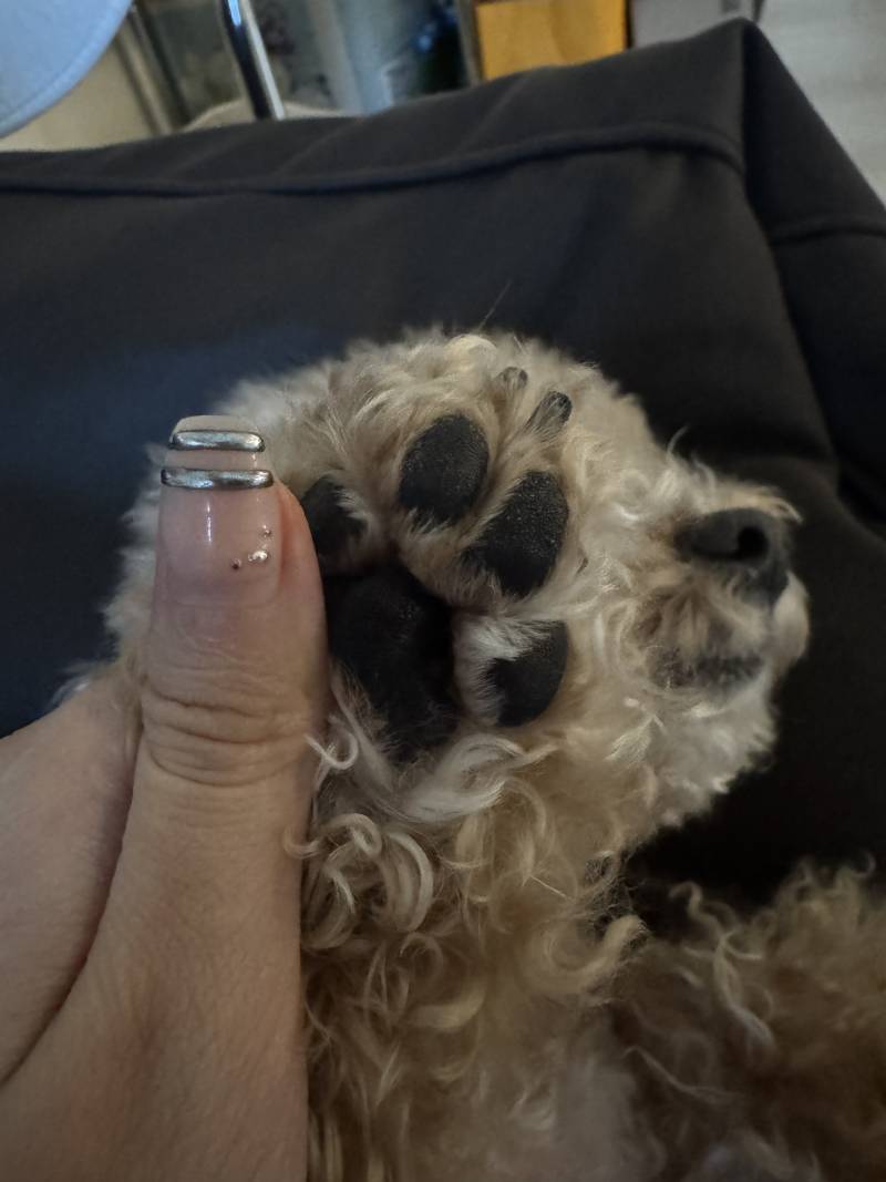 [잡담] 내 말랑이 자랑한다 | 인스티즈