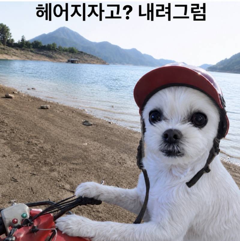 [잡담] 아 짤 졸라웃겨 ㅋㅋㅋ | 인스티즈