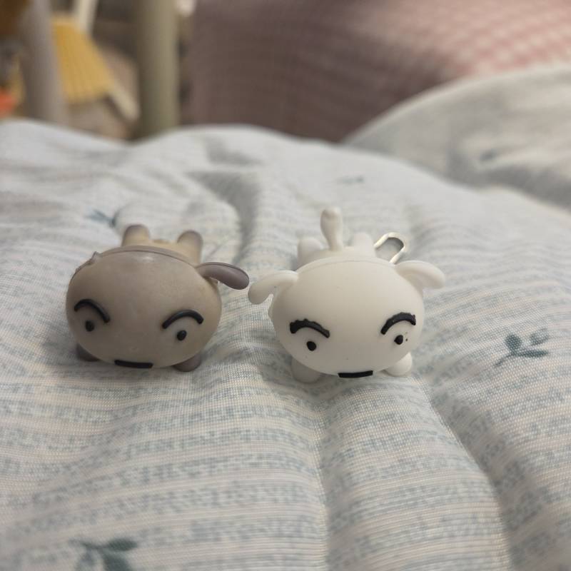 [잡담] 2년된 흰둥이 | 인스티즈