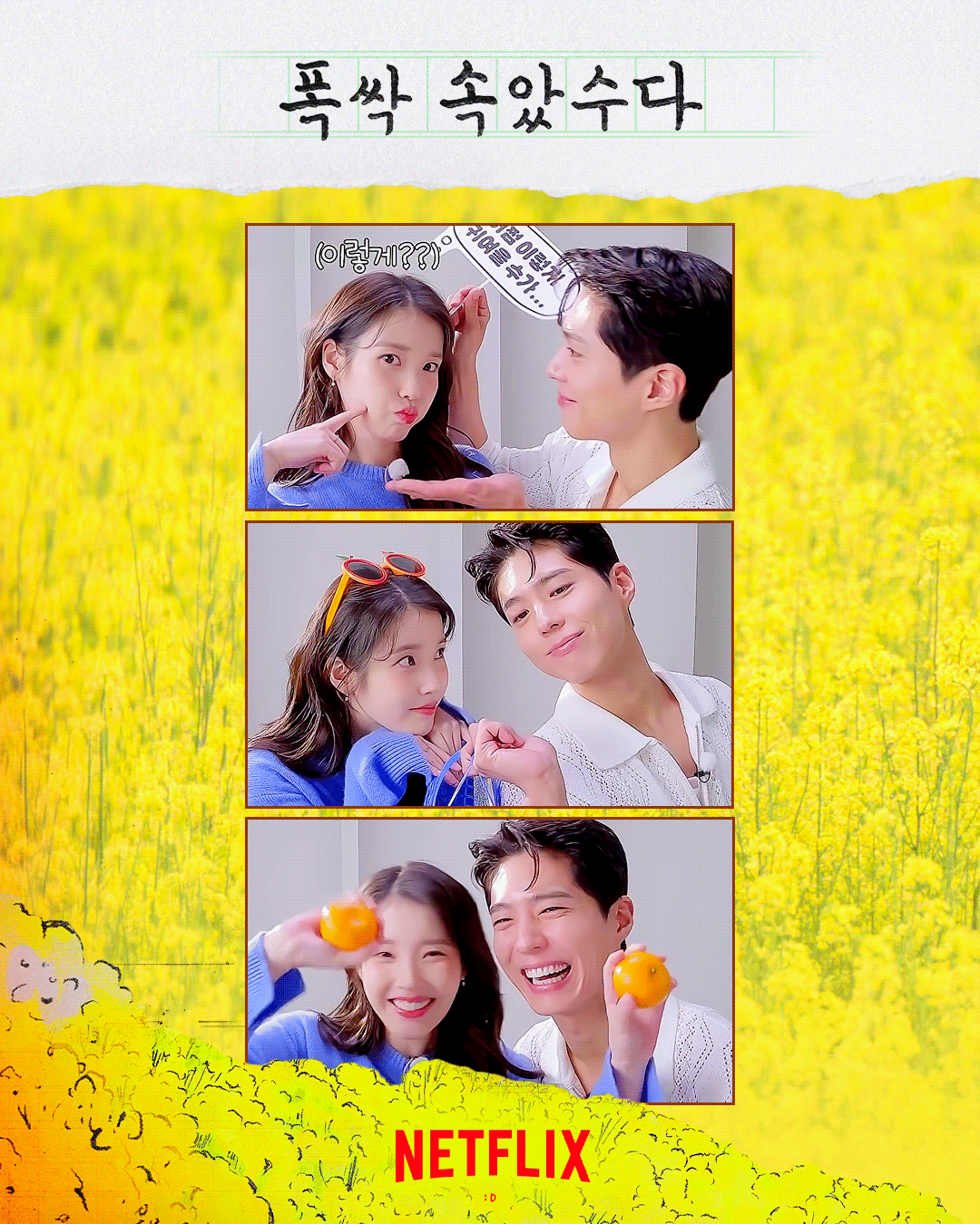 [잡담] 아이유 박보검 광고 뭐시기1위한기념 랜덤짤 | 인스티즈