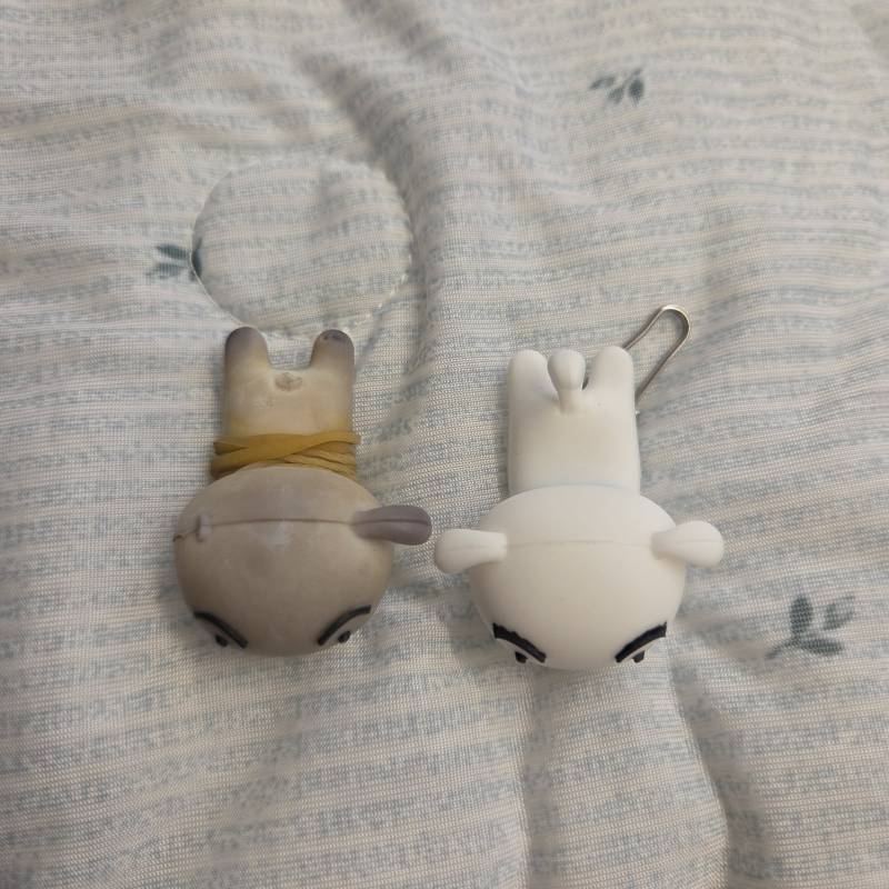 [잡담] 2년된 흰둥이 | 인스티즈