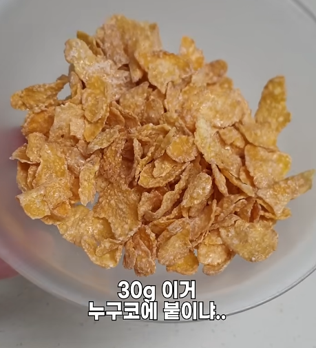 [잡담] 콘푸라이트와 콘푸로스트의 차이 알고 있어? | 인스티즈