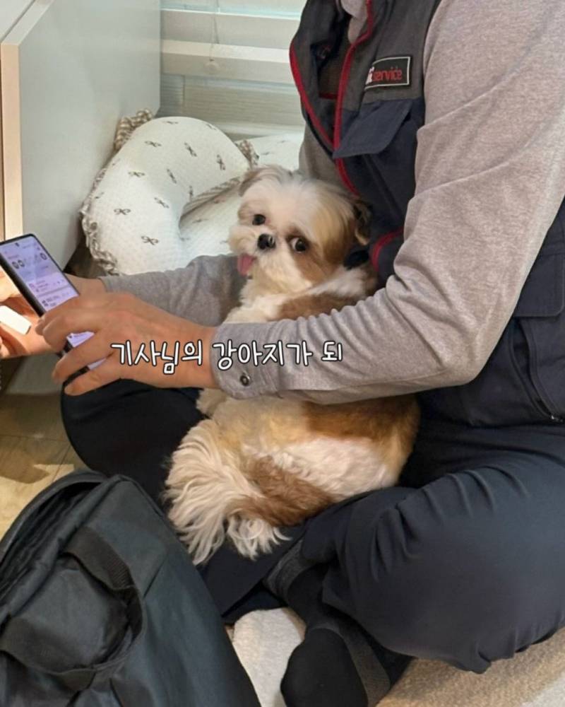 [잡담] 오늘부터 내 꿈은 인터넷 기사 | 인스티즈