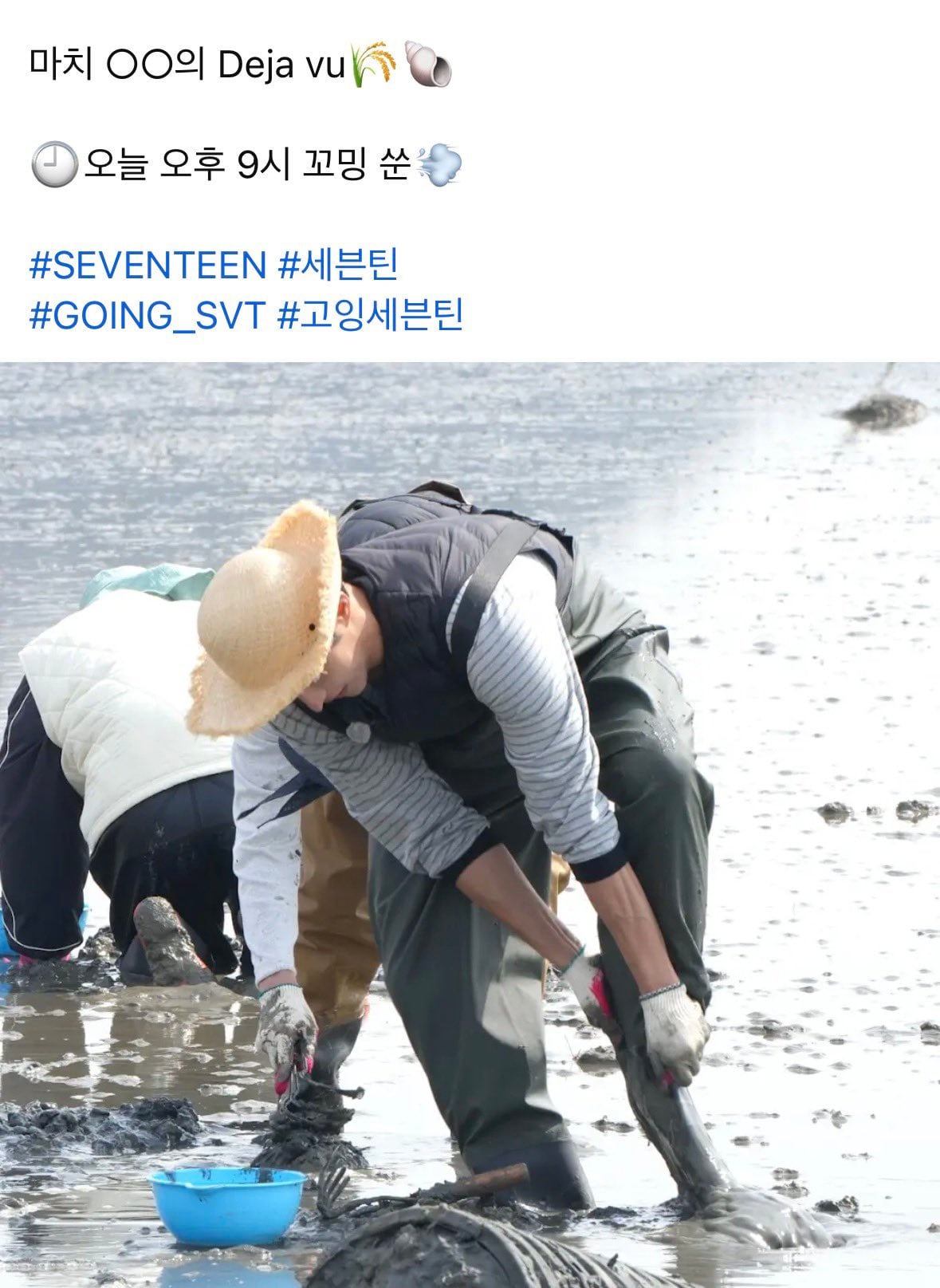 [잡담] 아 얘들아 오늘 고잉세븐틴 큰거 온다 벼농사에 이어서 갯벌이다 | 인스티즈