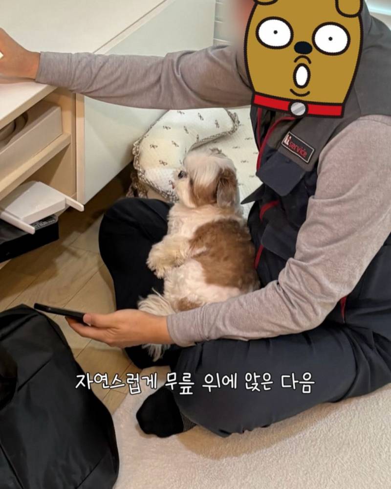 [잡담] 오늘부터 내 꿈은 인터넷 기사 | 인스티즈