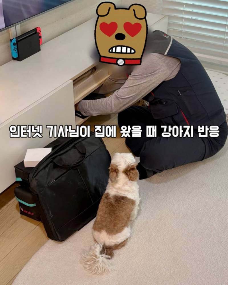 [잡담] 오늘부터 내 꿈은 인터넷 기사 | 인스티즈
