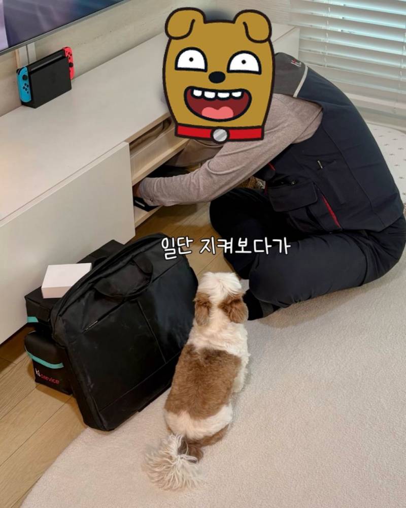 [잡담] 오늘부터 내 꿈은 인터넷 기사 | 인스티즈