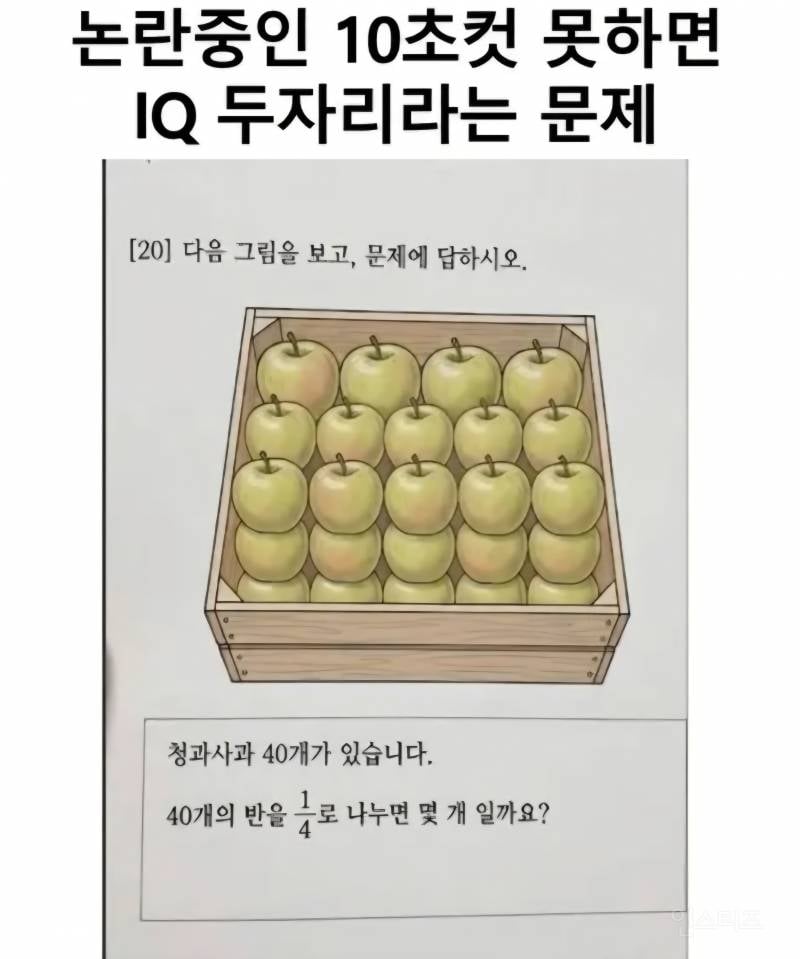 10초컷 못하면 IQ 두자리라는 문제 | 인스티즈