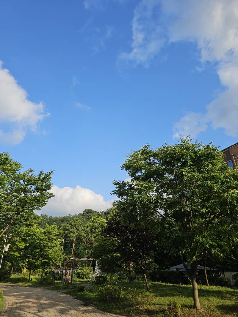 [잡담] 종일 비온다던 구로구 현재 상황.jpg | 인스티즈