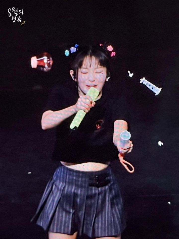 [잡담] 레벨 응원봉 빛만 안나오면 다행이지 무대에서 빠갈남.... | 인스티즈