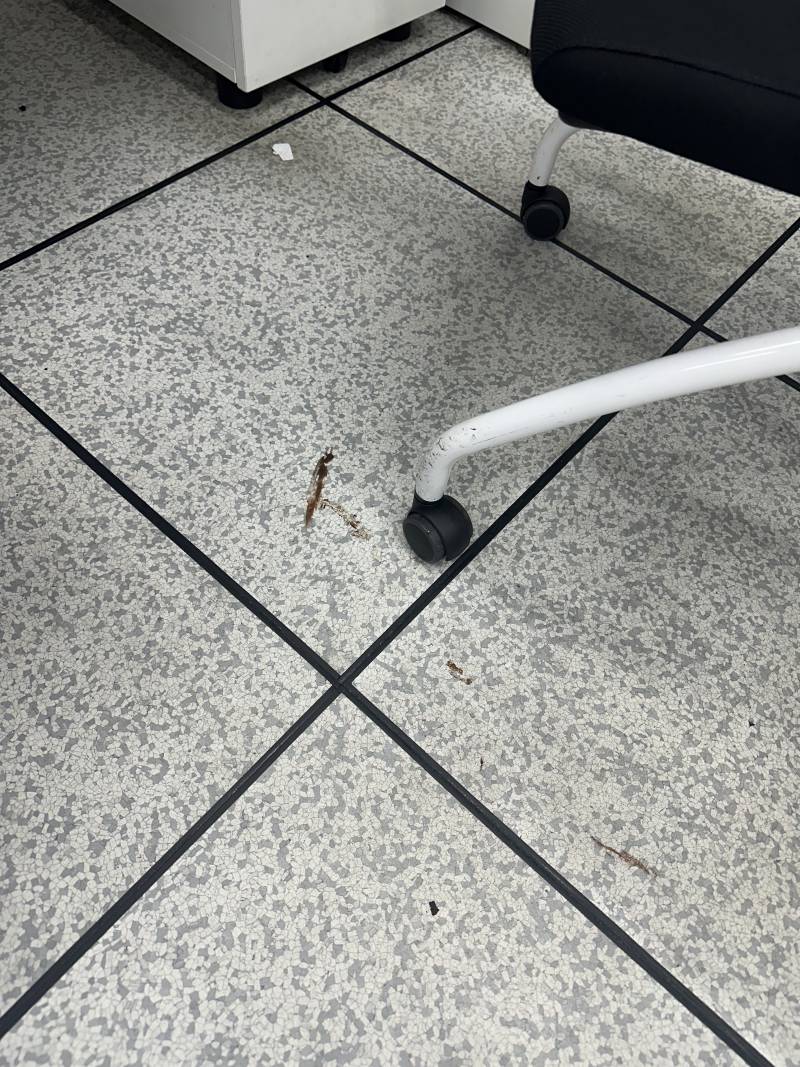 [잡담] 와 상사 진짜 레전드다ㅋㅋㅋㅋㅋㅋㅋㅋㅋㅋㅋ | 인스티즈
