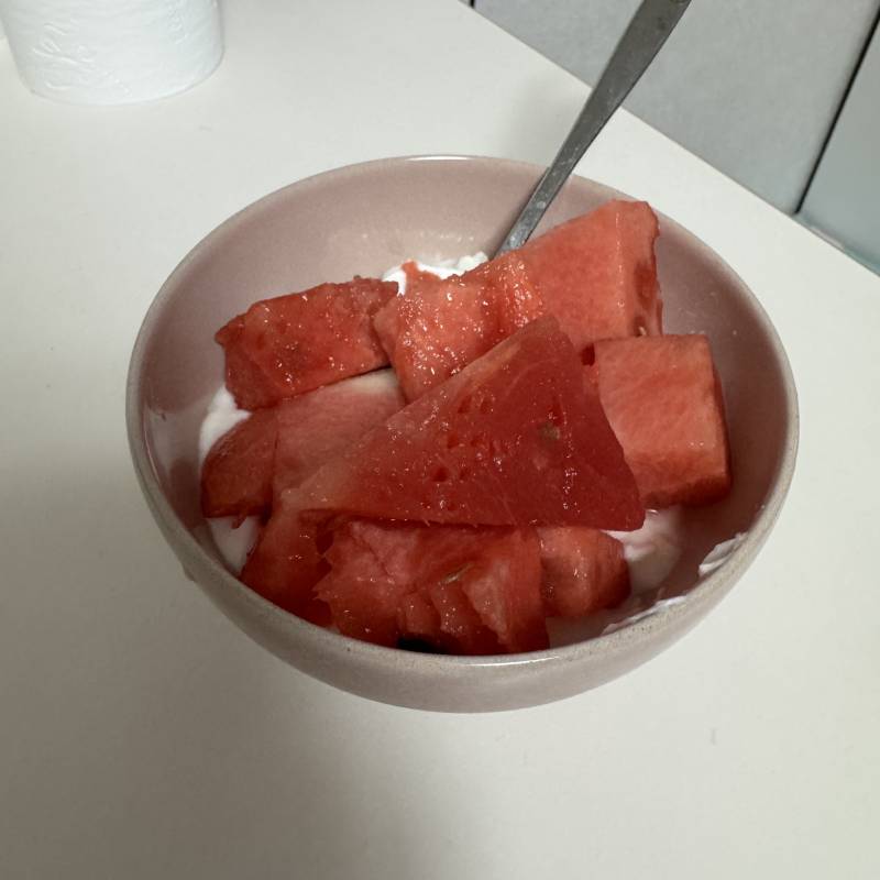 [잡담] 얘들아 수박요거트볼 진짜 너무너무 맛있음 | 인스티즈