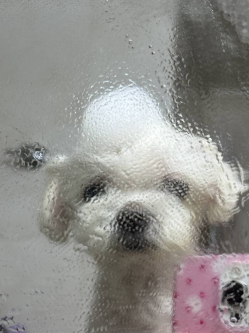 [잡담] 섹시거품샤워했다 | 인스티즈
