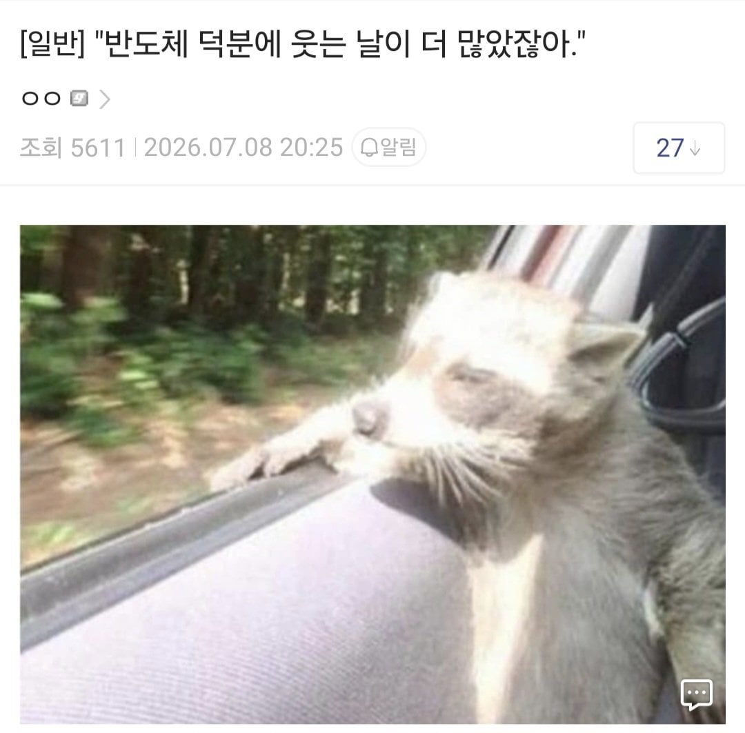 [잡담] 실시간 반도체 문학 | 인스티즈