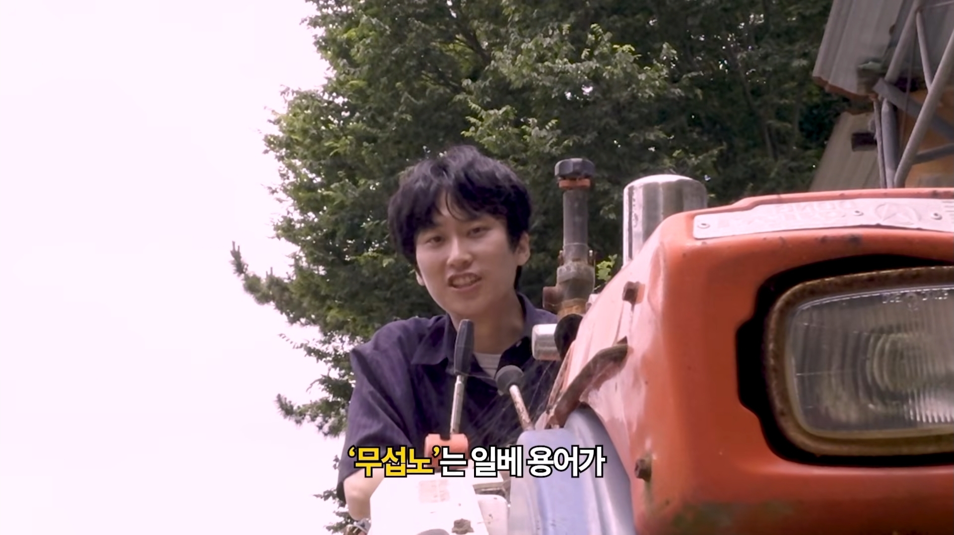 [정보/소식] 무섭노가 일베용어인지 논란을 종결시키려고 거제를 찾아간 경남신문 기자 | 인스티즈