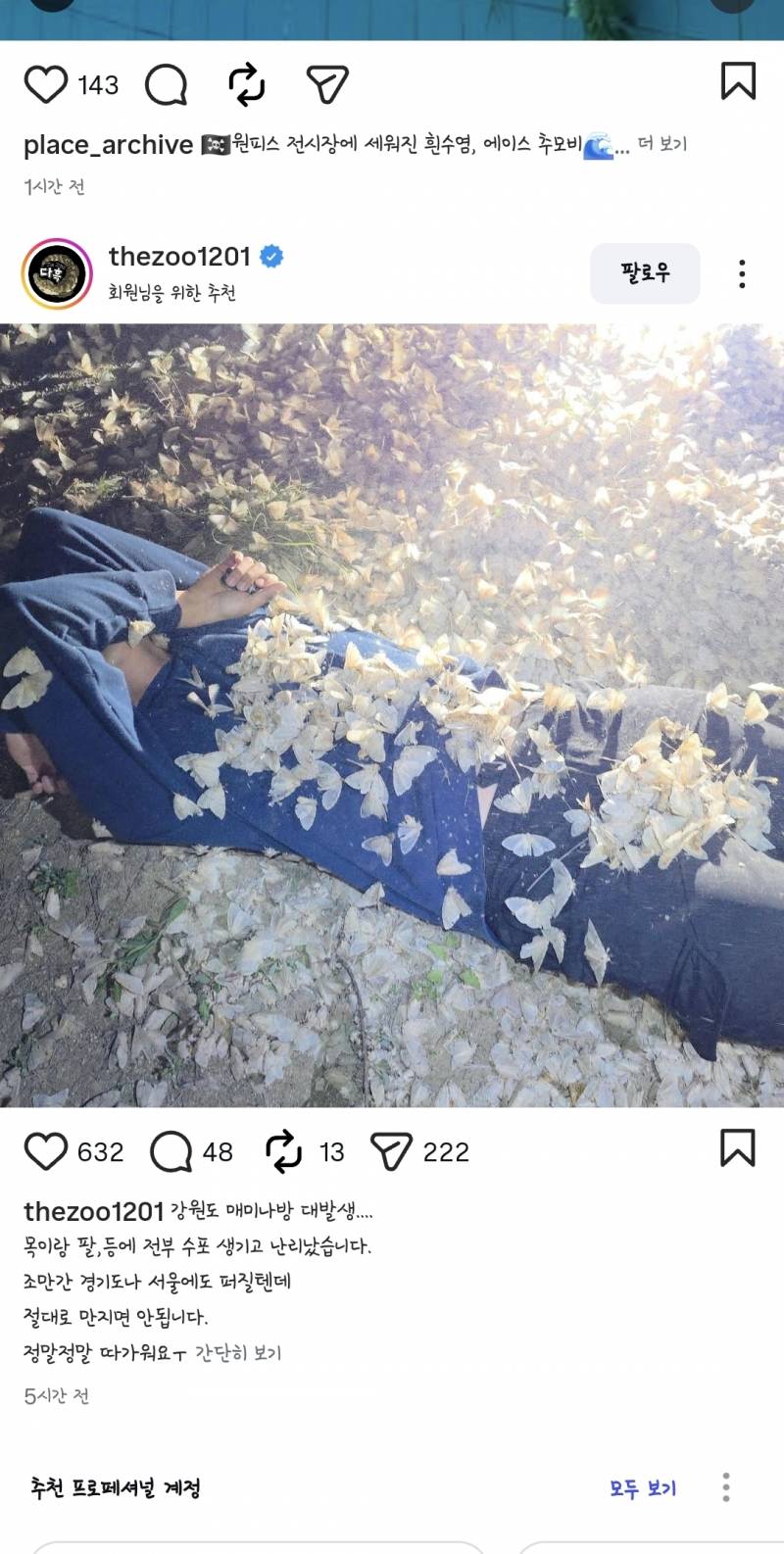 [잡담] ㅎㅇㅈㅇ 나이거 은행잎인줄 알았어 | 인스티즈