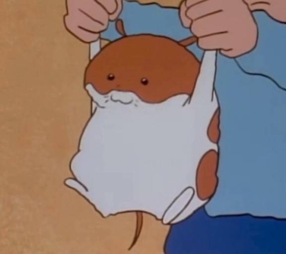 [잡담] ㅎㅇㅈㅇ 나이거 은행잎인줄 알았어 | 인스티즈