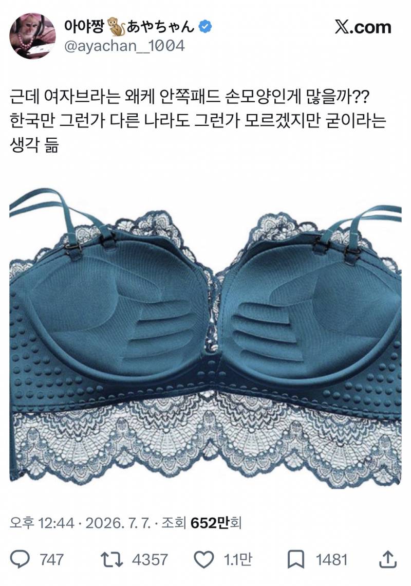 현재 sns에서 논란중인 브라 안쪽패드 손모양..JPG | 인스티즈