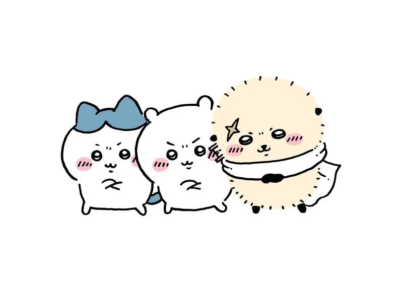 [잡담] 랏코는 몸집이 큰 걸 보니 확실히 어른스럽군 | 인스티즈