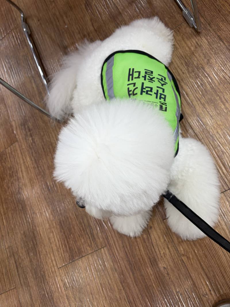 [잡담] 이 사진을 보고 생각나는 단어나 문장이 무엇이냐? | 인스티즈