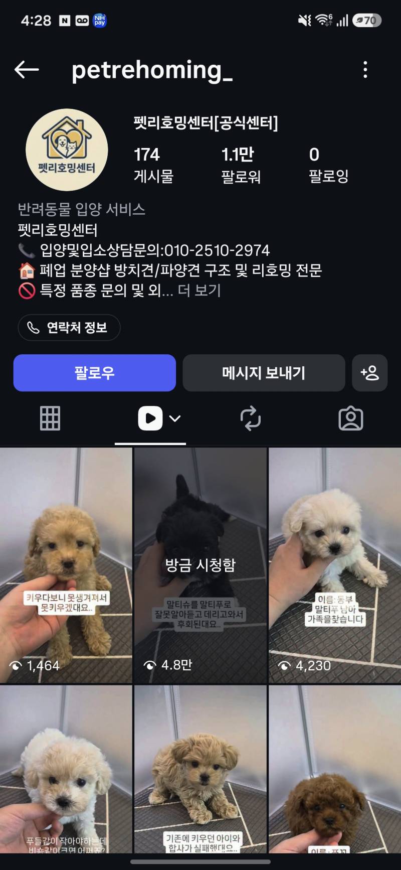 [잡담] 이런건 신종 펫샵이지? | 인스티즈