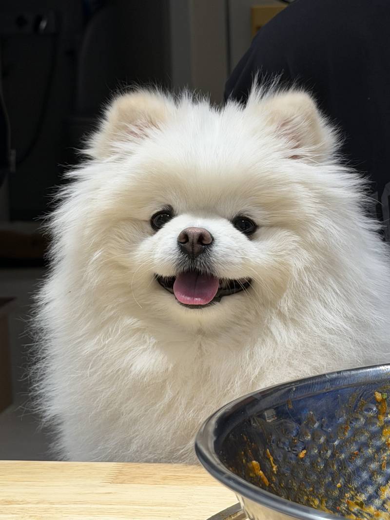 [잡담] 잠깐 들어와방 | 인스티즈