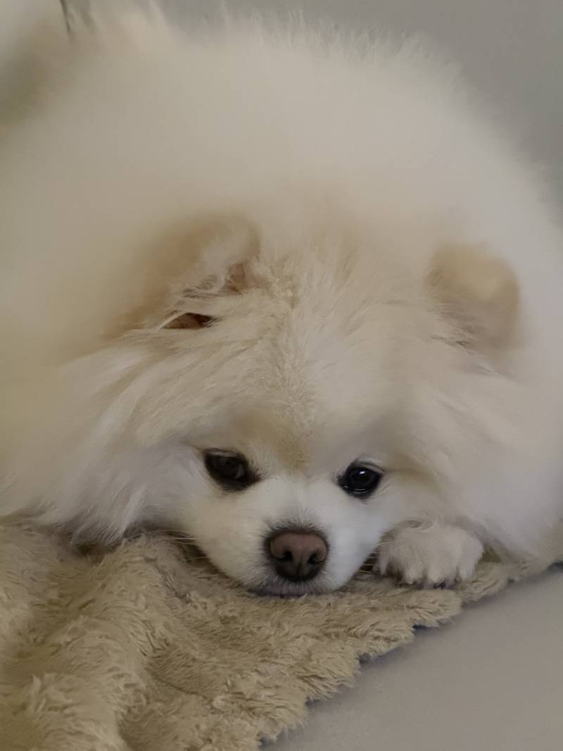 [잡담] 잠깐 들어와방 | 인스티즈