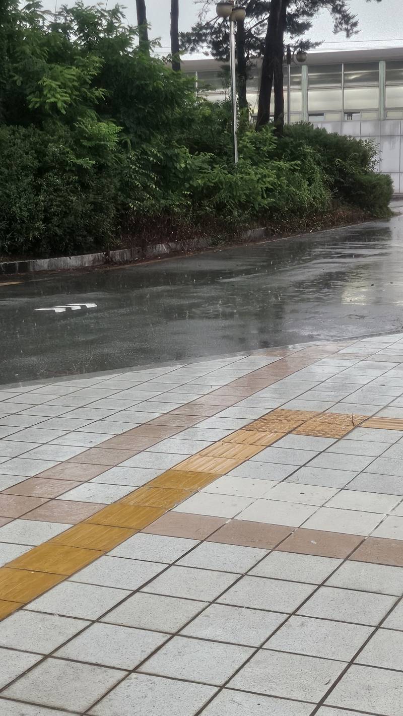 [잡담] 날씨특파원들~그대들동네어때? | 인스티즈