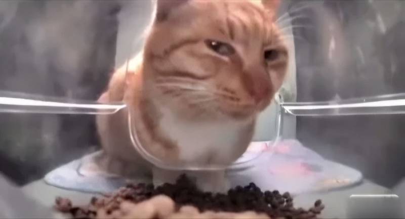[잡담] 닉스 오르는거 너무 으심이 돼 | 인스티즈