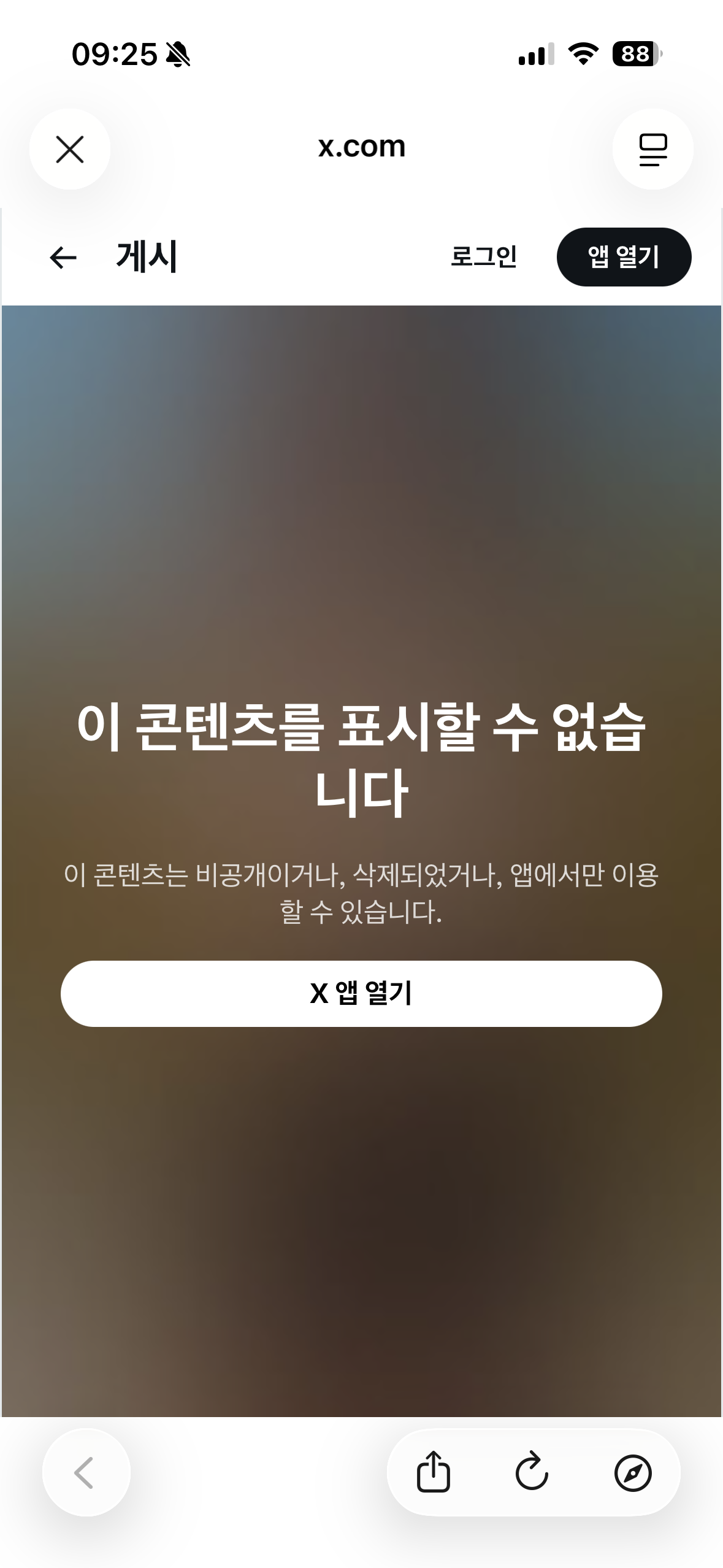 [잡담] 나 트위터 아직 파랑새인데 이제 끝인가봄 | 인스티즈