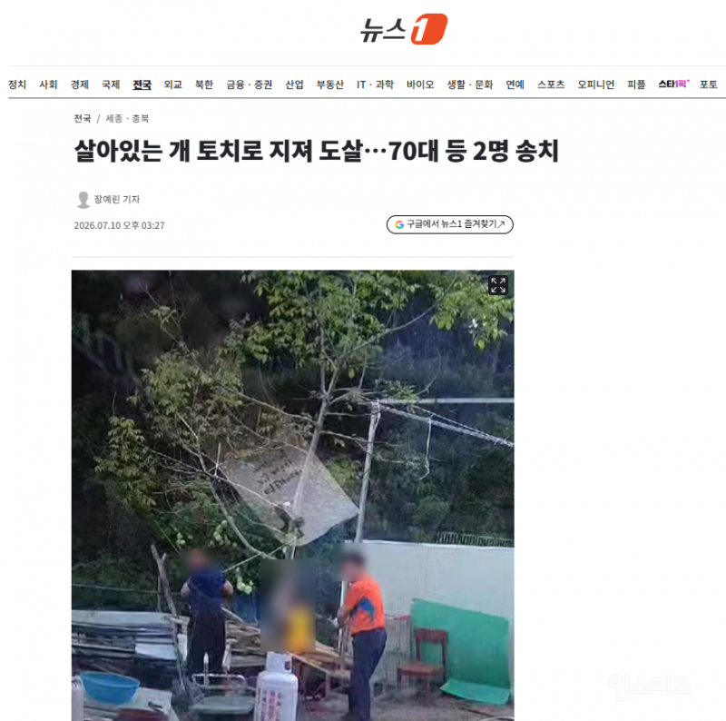 살아있는 개 토치로 지져 도살…70대 등 2명 송치 | 인스티즈