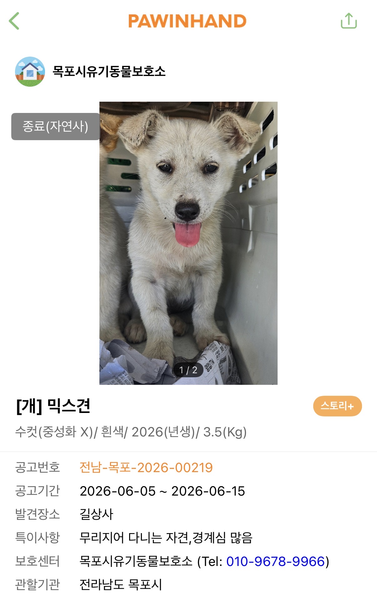 [잡담] 보호소에서 울고있던 강아지 죽었다ㅠㅠㅠㅠㅠ | 인스티즈