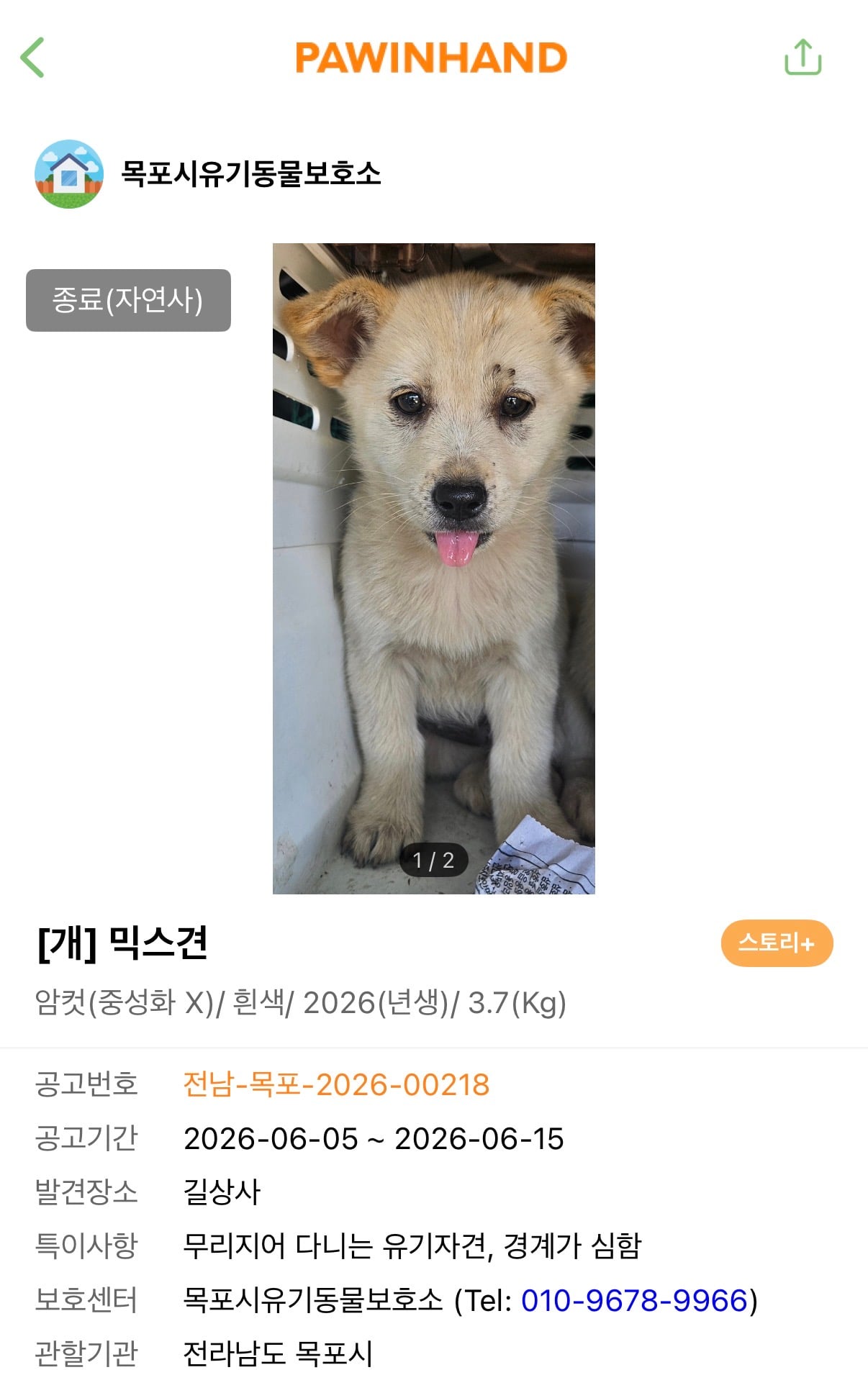 [잡담] 보호소에서 울고있던 강아지 죽었다ㅠㅠㅠㅠㅠ | 인스티즈