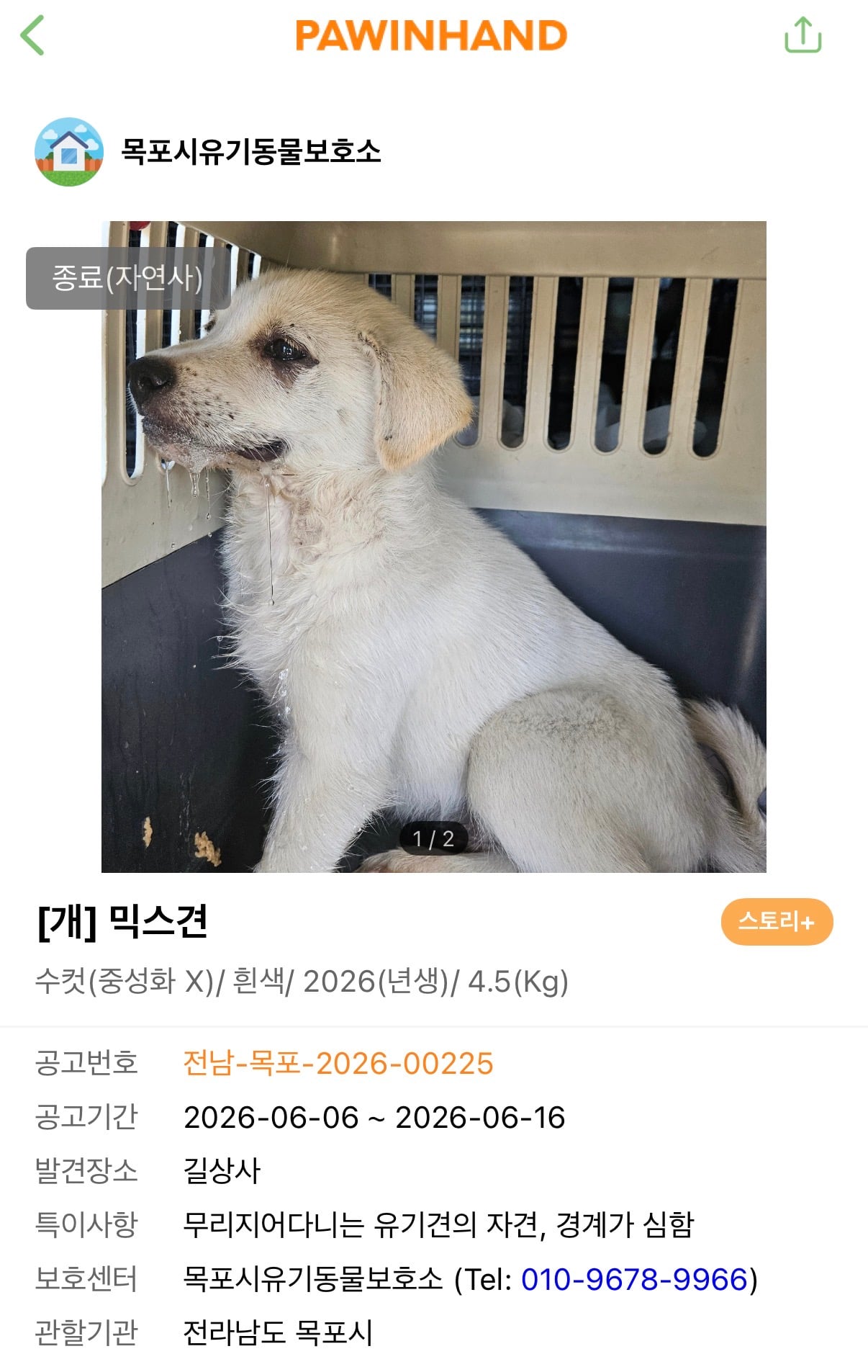[잡담] 보호소에서 울고있던 강아지 죽었다ㅠㅠㅠㅠㅠ | 인스티즈