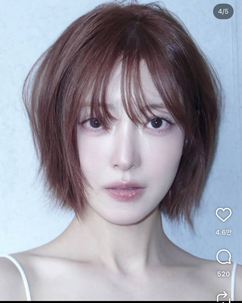 [잡담] 이런 머리는 손질 어려울까 | 인스티즈